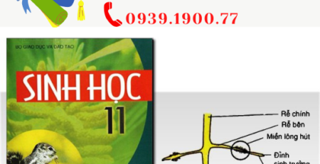 cách học tốt môn sinh