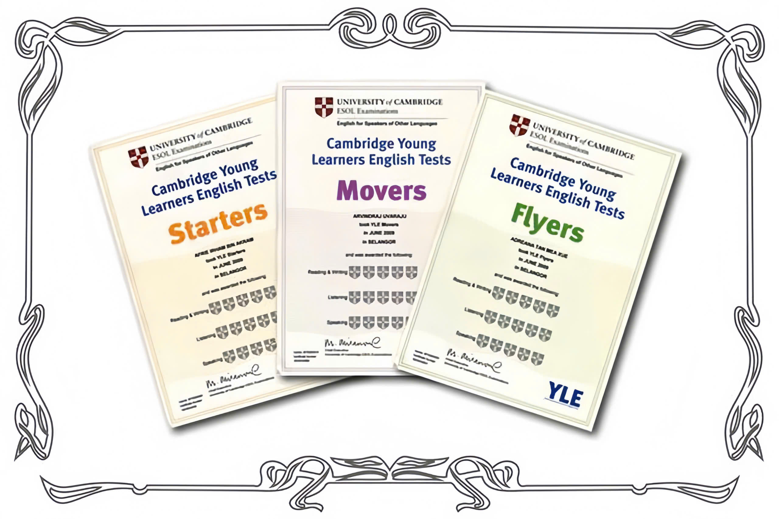 chứng chỉ movers 