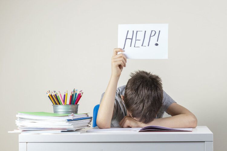 dạy kèm quận tân phú 